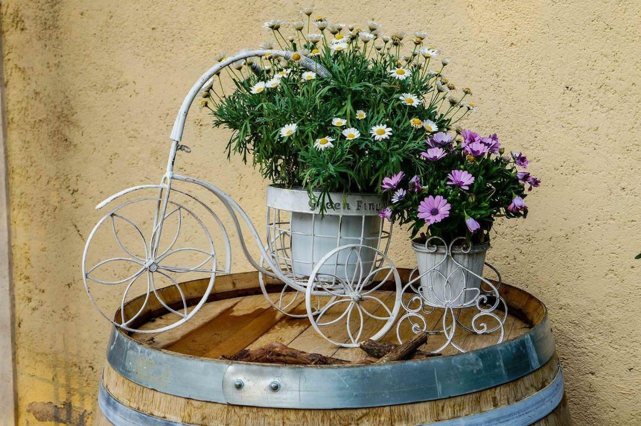 Bed and Breakfast Casale del Sole Garda Monzambano Esterno foto